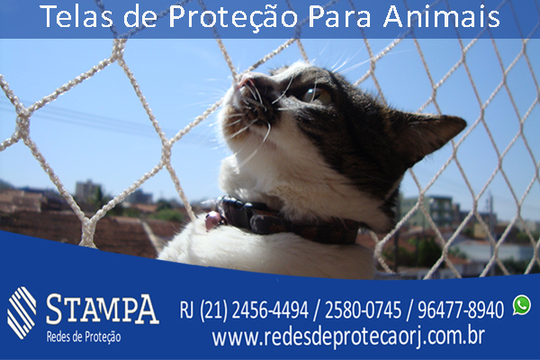 telas_de_protecao_para_animais Telas de Proteção Para Animais